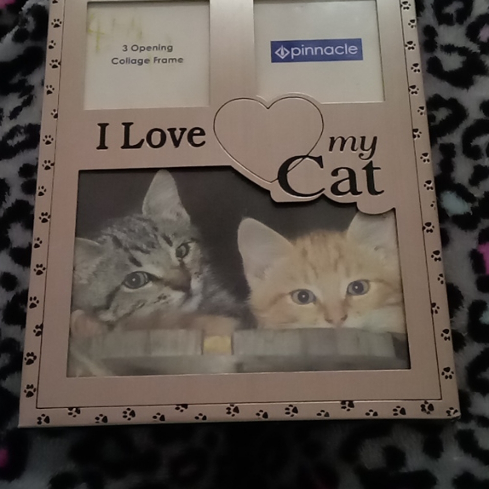 Collage picture frame